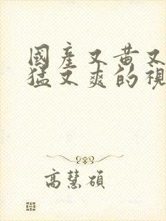 国产又黄又长又猛又爽的视频