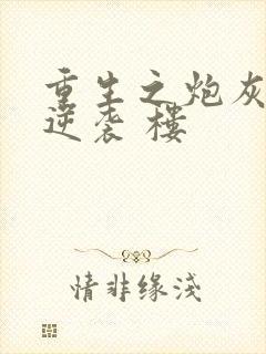 重生之炮灰女的逆袭 楼