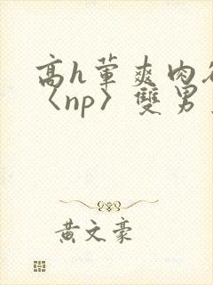 高h荤爽肉欲文〈np〉双男主