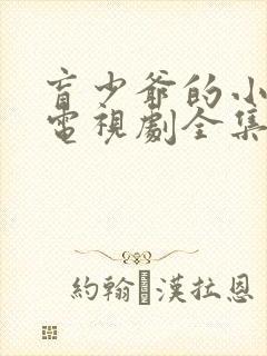 盲少爷的小女仆电视剧全集