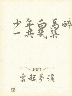 少年白马醉春风一共几集