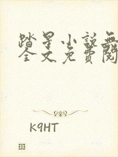 踏星小说无弹窗全文免费阅读