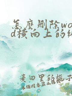 怎么删除word横向上的纵向空白页