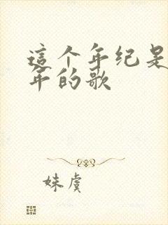 这个年纪是哪一年的歌