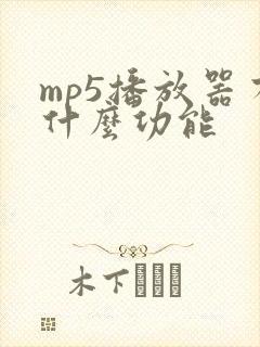 mp5播放器有什么功能