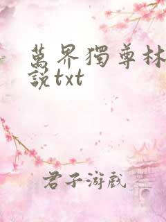 万界独尊林枫小说txt