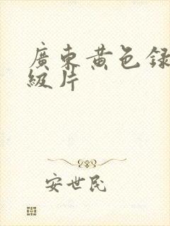 广东黄色录像一级片