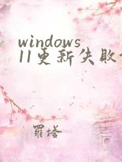 windows11更新失败错误代码0x80070005