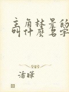 主角林晨的小说叫什么名字