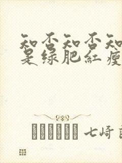 知否知否知否应是绿肥红瘦什么时候上映