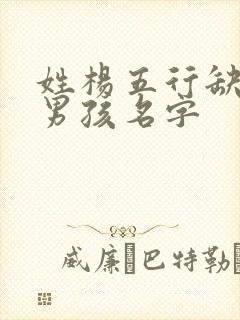 姓杨五行缺火的男孩名字