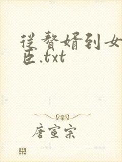 从赘婿到女帝宠臣.txt