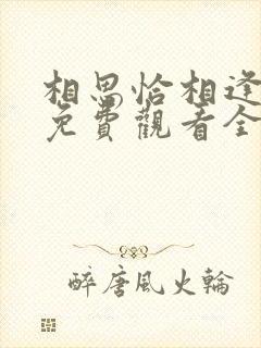 相思恰相逢短剧免费观看全集高清