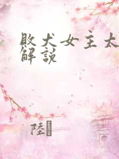 败犬女主太多了解说