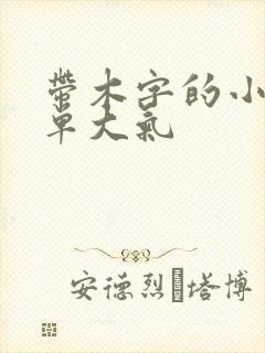 带木字的小名简单大气