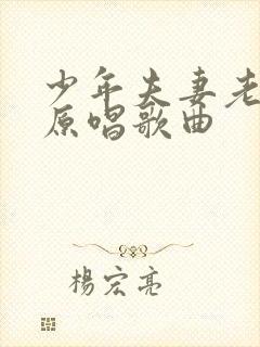 少年夫妻老来伴原唱歌曲