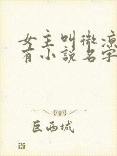 女主叫微凉的所有小说名字