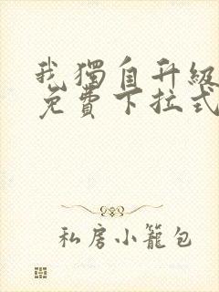 我独自升级漫画免费下拉式在线