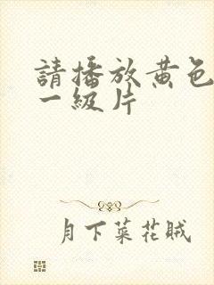 请播放黄色录像一级片