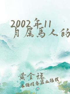 2002年11月属马人的命运