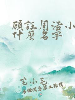 顾钰周浩小说叫什么名字