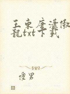 王东唐潇傲世潜龙txt下载