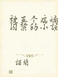 被五个病娇徒妹囚禁的小说