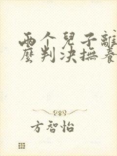 两个儿子离婚怎么判决抚养权