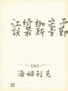 江绮枷宋予呈小说最新章节