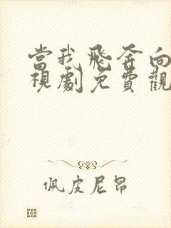 当我飞奔向你电视剧免费观看西瓜