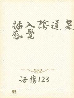 插入阴道是什么感觉