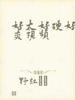 好大好硬好粗好爽视频