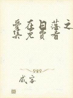 爱在日落之前全集免费看