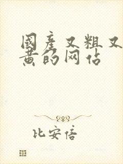 国产又粗又猛又黄的网站