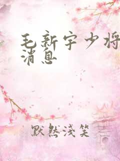 毛新宇少将最新消息