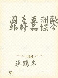 国产亚洲欧美日韩精品综合在线