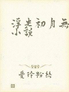浮光初月无归期小说