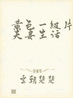 黄色一级片中国夫妻生活