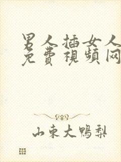 男人插女人下面免费视频网站