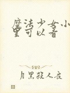 魔法少女小圆哪里可以看