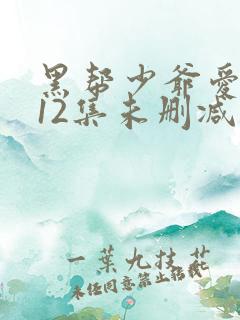黑帮少爷爱上我12集未删减