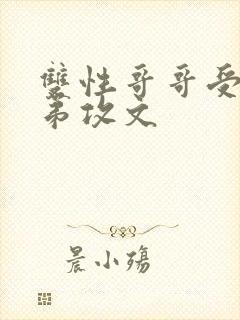 双性哥哥受 弟弟攻文