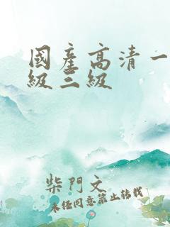 国产高清一级二级三级