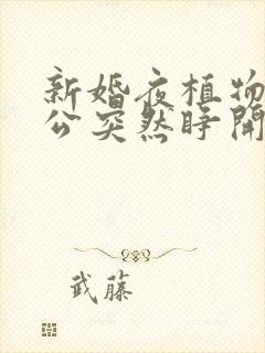 新婚夜植物人老公突然睁开眼在线观看