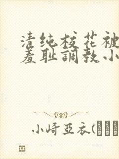 清纯校花被民工羞耻调教小说