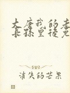 大唐我的老婆是长孙皇后免费阅读