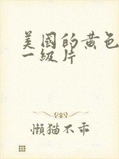 美国的黄色录像一级片