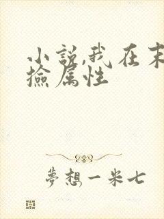 小说,我在末世捡属性