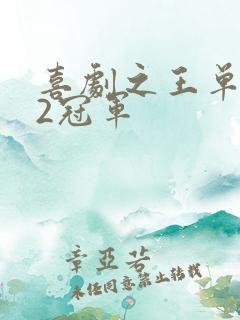 喜剧之王单口季2冠军