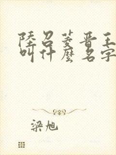 陆召菱晋王小说叫什么名字